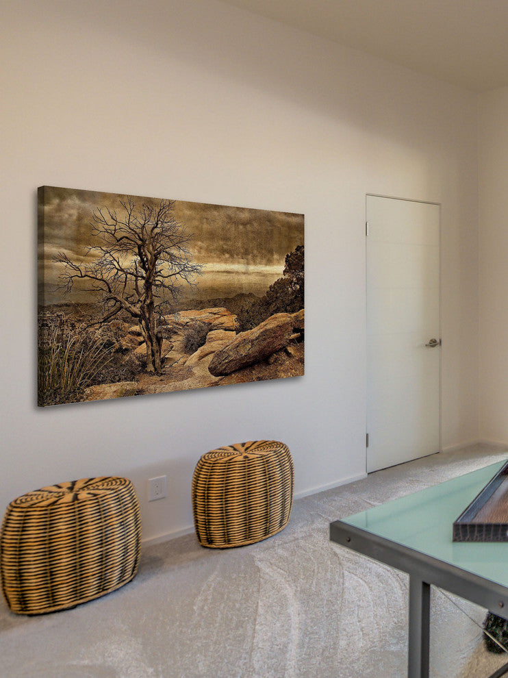 "Crags and Crooks I" Painting Print on Canvas by Robertson