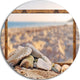 Framed Blurred Seashore, Landscape Art Large Disc Metal Wall Art, 36"