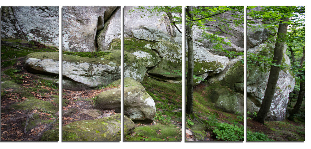 "Deep Moss Forest With Rocks" Landscape Art Print Canvas, 5 Panels, 60"x28"