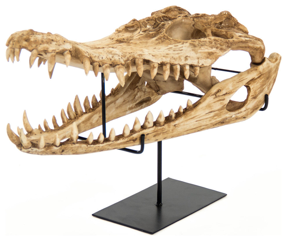 Alligator Skull Statue