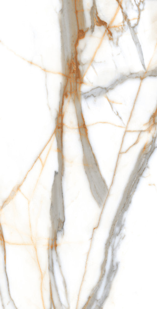 Calacatta Gold Porcelain Marble Look Matte Wall and Floor Tile, 24x48