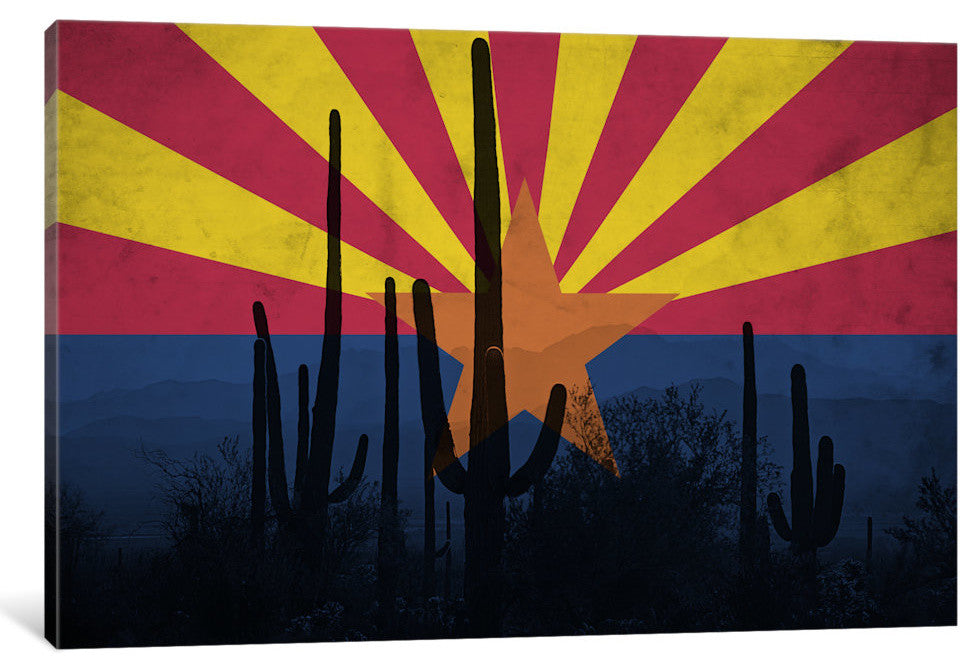 "State Flag Overlay Series: Arizona (Cacti)" by iCanvas, 18x12x1.5"