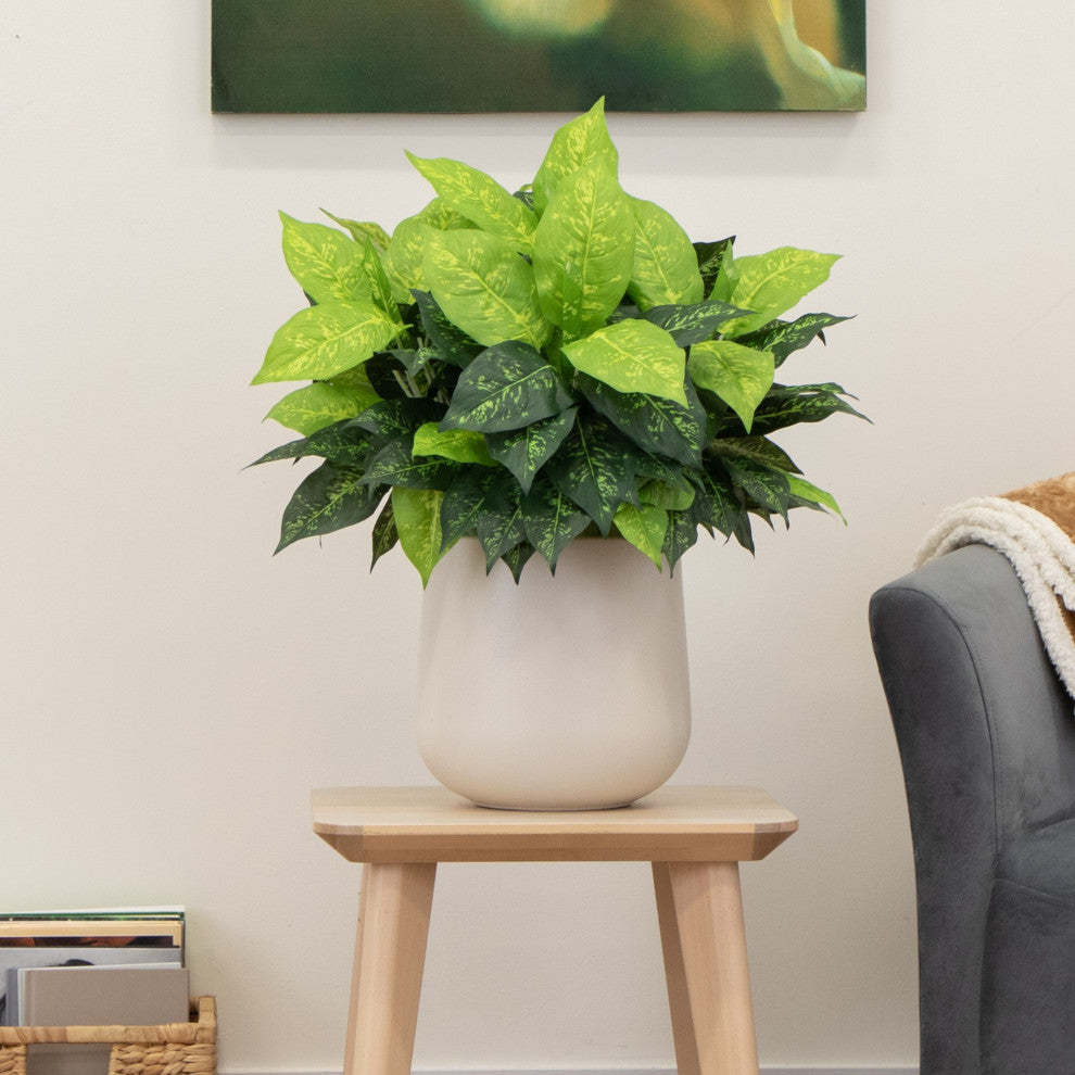 19" Artificial Dieffenbachia Plant Set of 6
