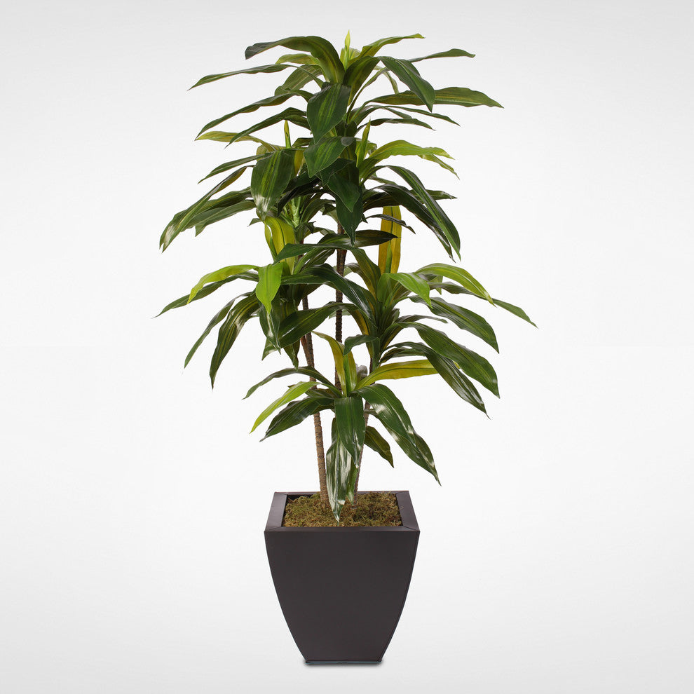 4ft Real Touch Dracaena Massangeana Tree in a Contemporary Metal Pot
