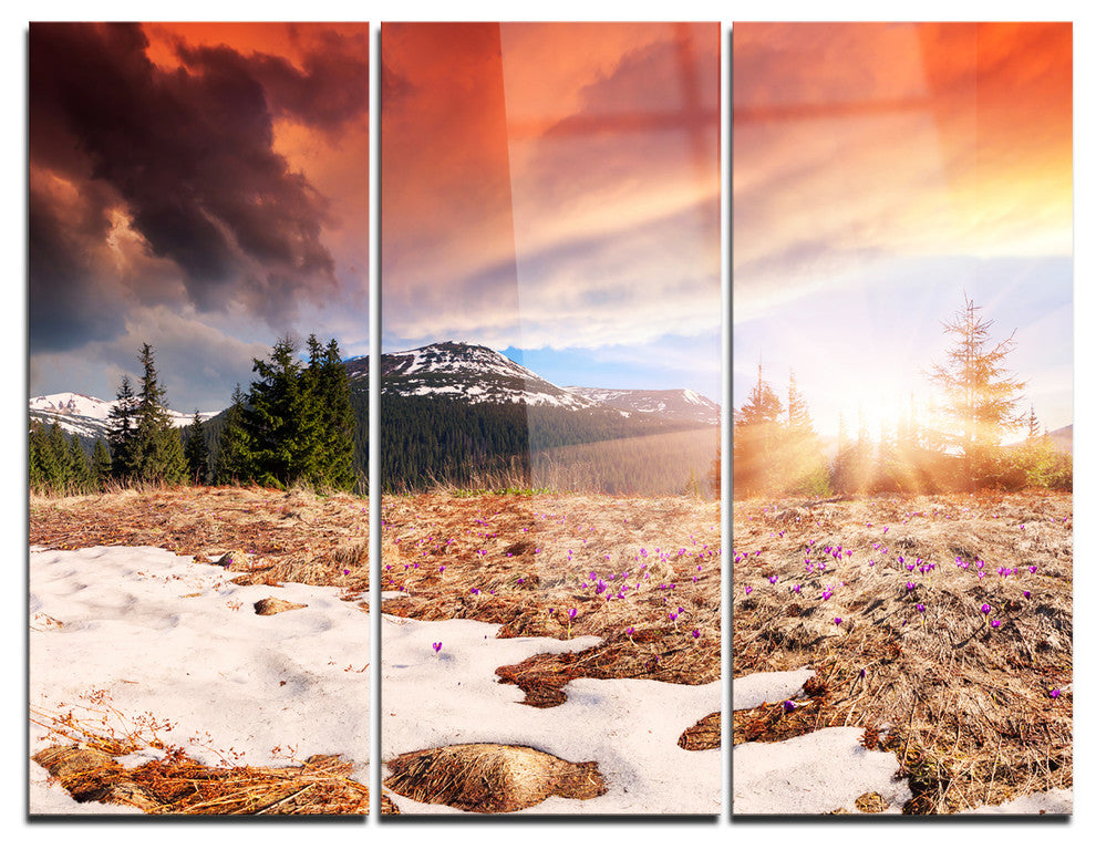 "Blooming Crocuses in Mountains" Photo Metal Wall Art, 3 Panels, 36"x28"