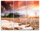 "Blooming Crocuses in Mountains" Photo Metal Wall Art, 3 Panels, 36"x28"
