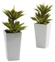 Double Mini Agave With Planter, Set of 2