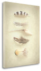 "Feathers III" By Elizabeth Urquhart, Giclee Print on Gallery Wrap Canvas