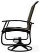 Belle Isle Sling Outdoor Swivel Rocker, Deacon