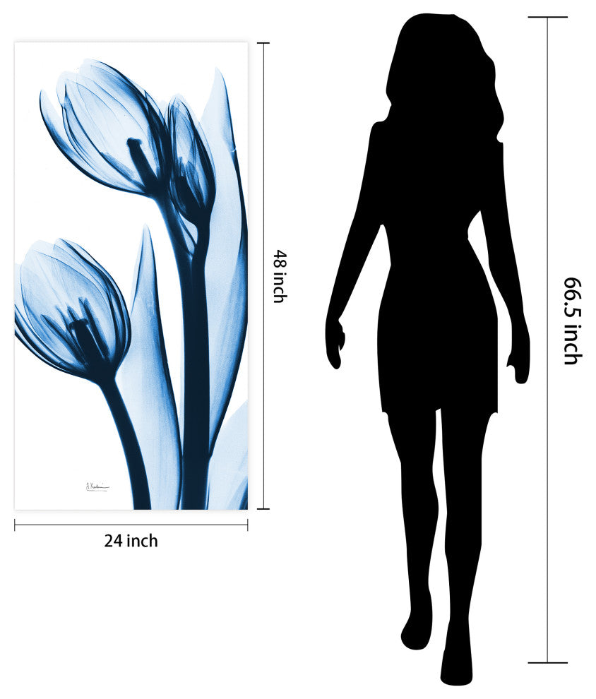 "Two Blue Tulips" Frameless Free Floating Panel Graphic Wall Art, 48"x24"