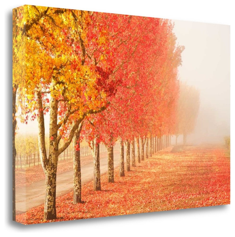"Fall Trees In The Mist" By Abhi Ganju, Giclee Print on Gallery Wrap Canvas