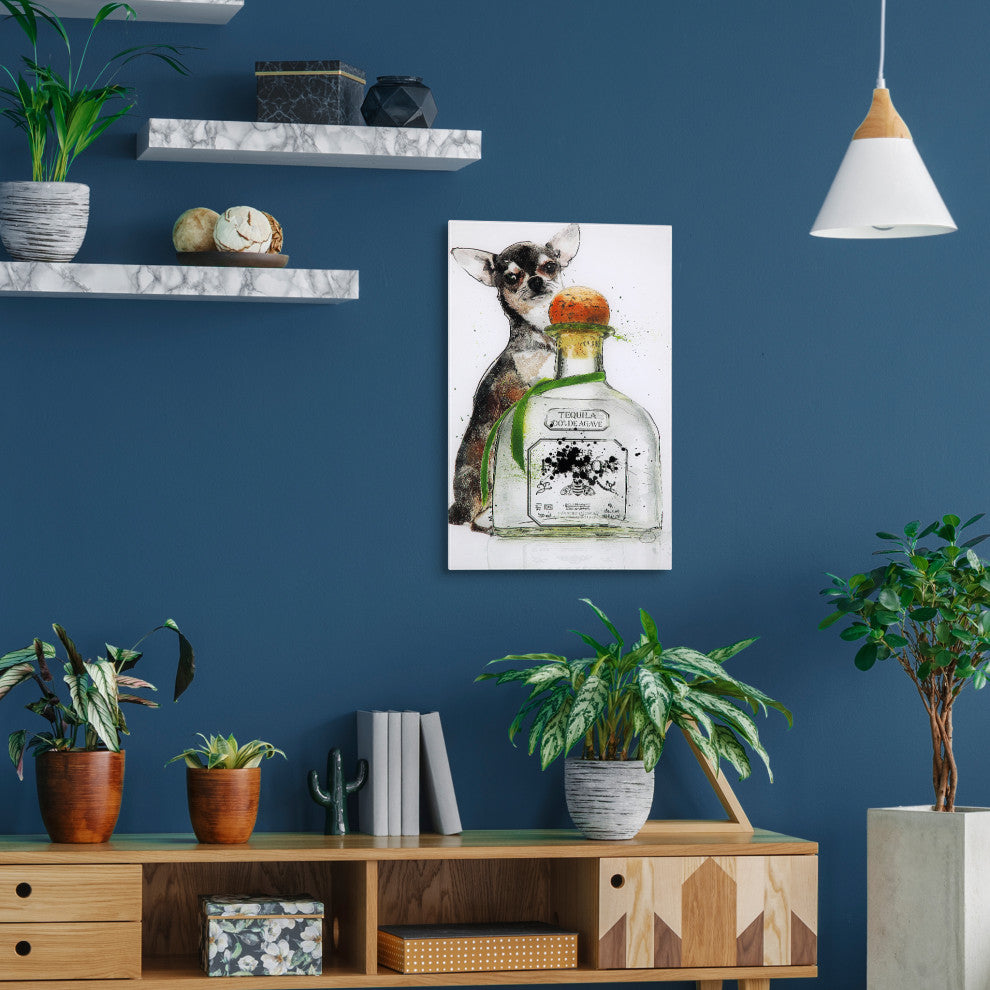 Viva Mexico Dog Fashion Wall Art on Frameless Free Floating Tempered Glass 24x16