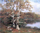 Allen Butler Talcott Pasture Oaks Premium Canvas Print