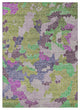 Machine Washable Indoor/Outdoor Chantille ACN1906 Fern 5' x 7'6" Rug