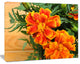 Marigold Flower on Wooden Background, Floral Canvas Art Print, 20"x12"