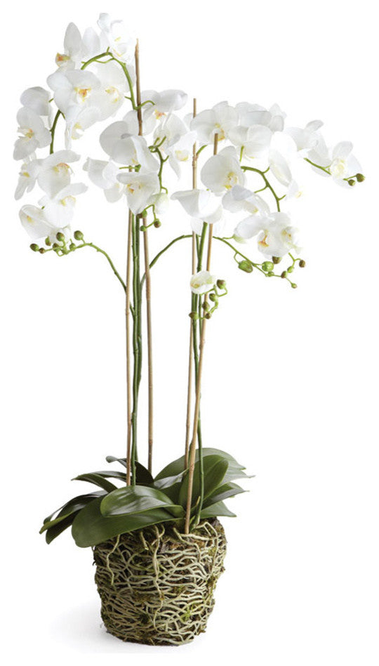 Realistic Phalaenopsis Orchid Drop-In Plant with Root Ball, 44"
