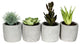 Vickerman FV192246 6" Artificial Assorted Potted Succulents, Set of 4