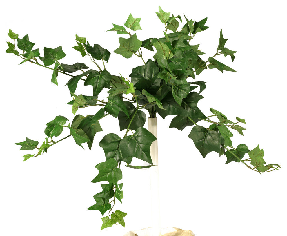 Ivy Bush, Set of 3