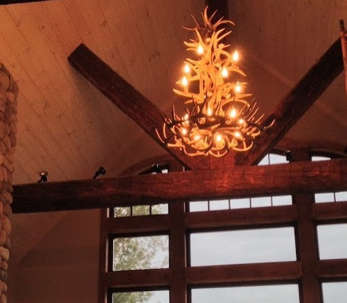 Whitetail Deer Tall Spruce Antler Chandelier Light, Extra Large, Parchment Shade