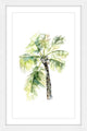 "Palm Tree 2" Framed Print by Rachel Byler