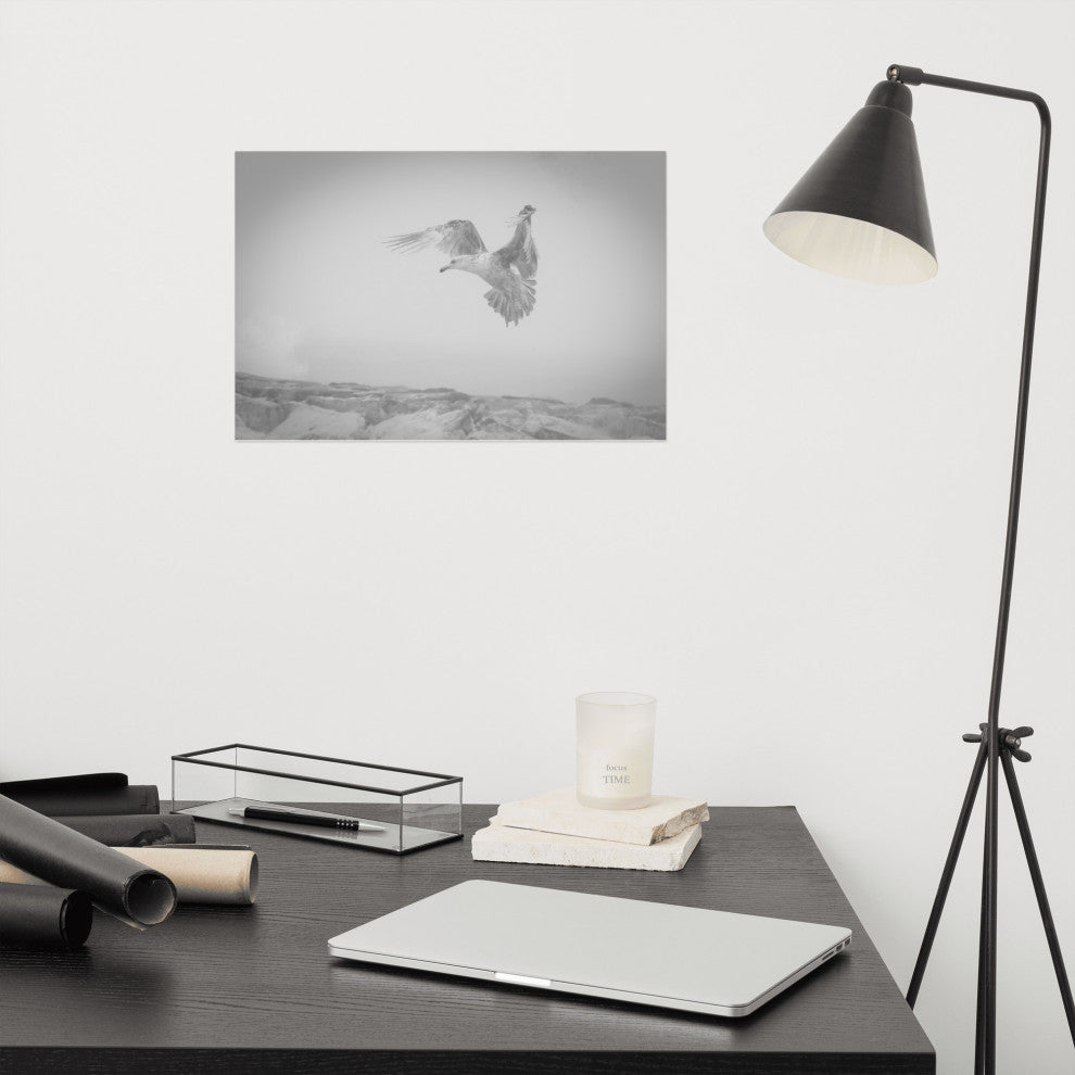 Seagull in the Mist Black & White Wildlife Photography Unframed Wall Art Print, 12" X 18"