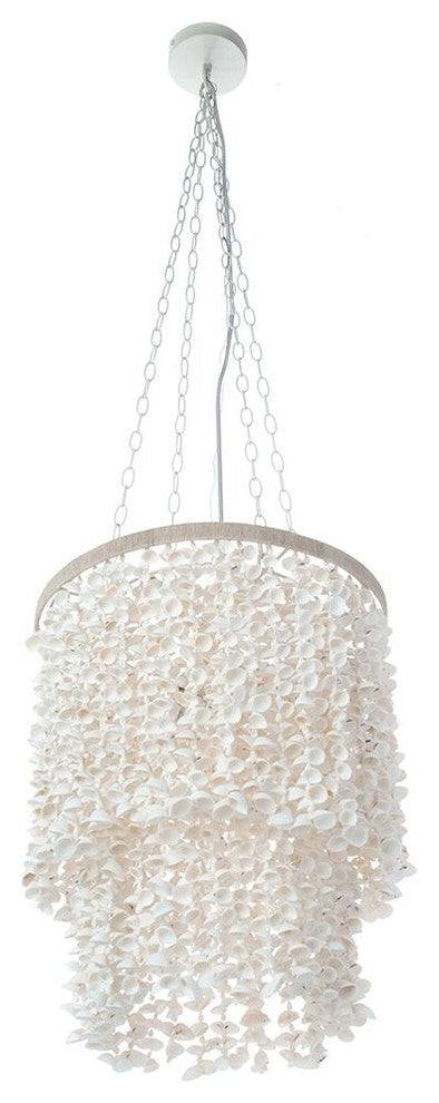 Drum Clamrose Seashell Pendant Lamp