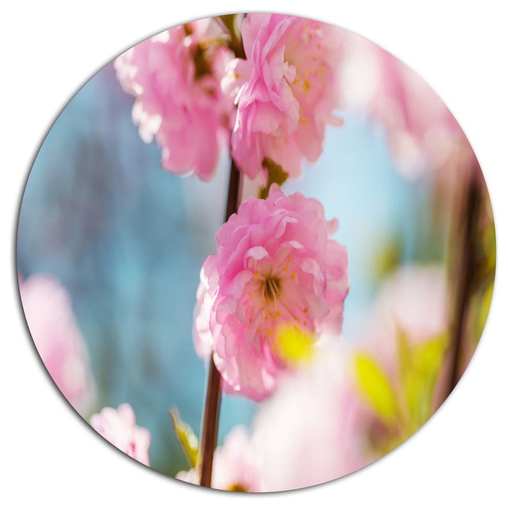 Almond Tree Pink Flowers, Flower Round Metal Wall Art, 36"