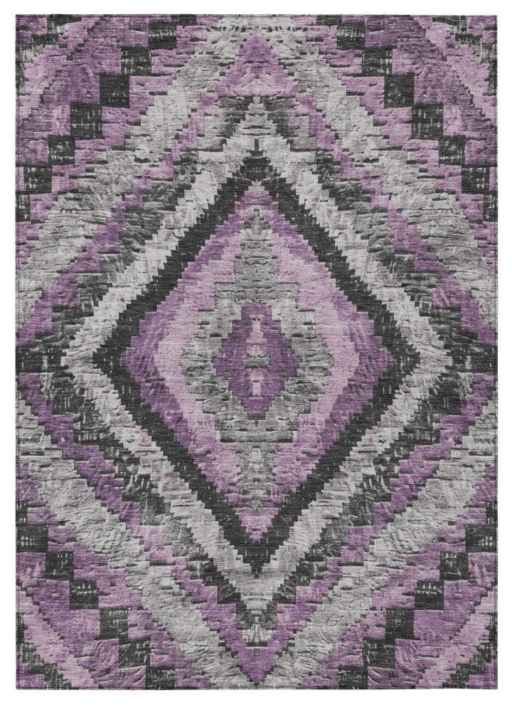 Machine Washable Indoor/Outdoor Chantille ACN1890 Violet 8' x 10' Rug