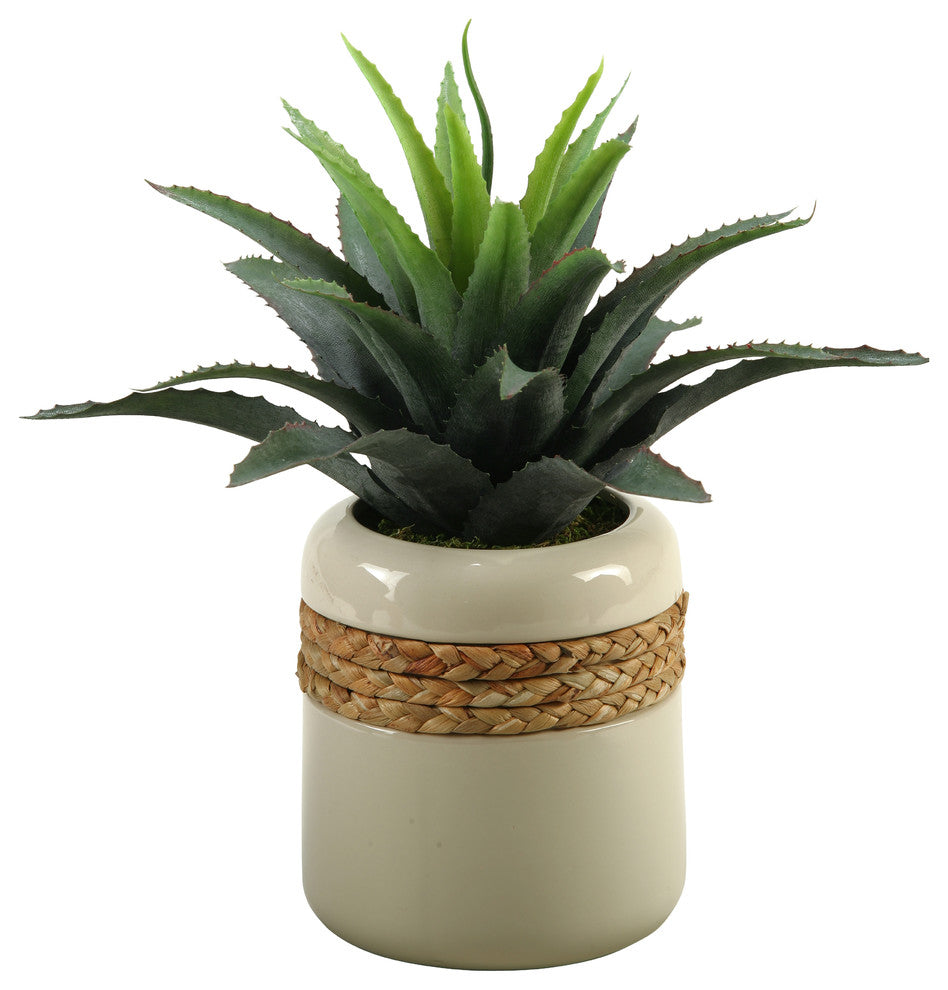 D&W Silks Star Succulent in Round Ceramic Planter