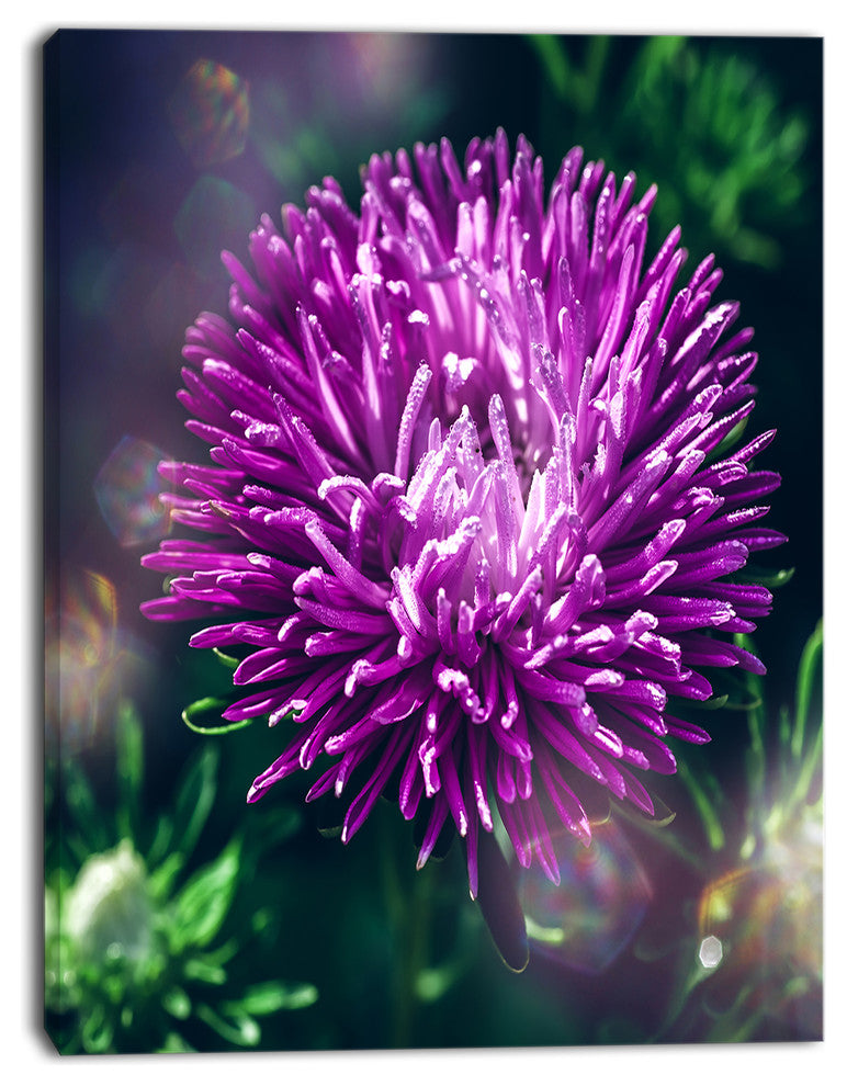 Chrysanthemum Flower with Bokeh, Flowers Canvas Wall Artwork, 28"x60"