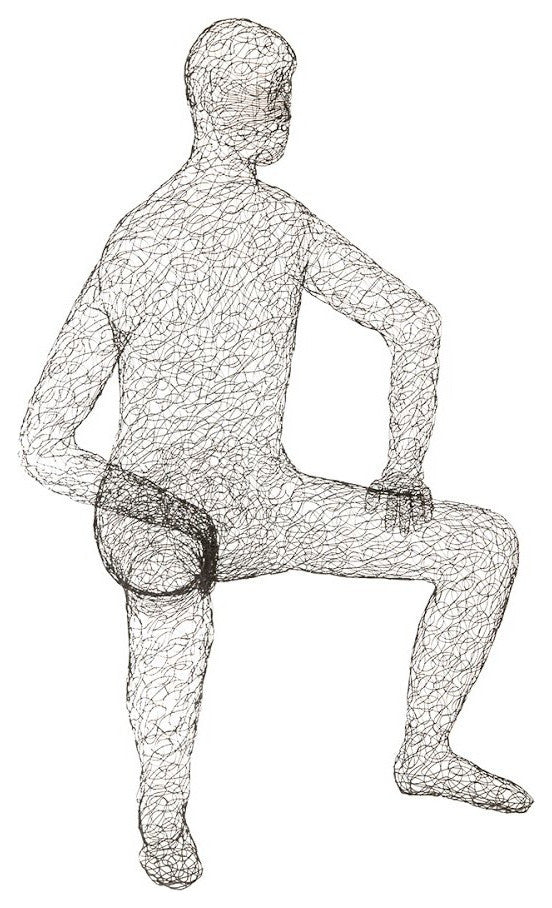 Crazy Wire Lounging Male