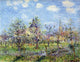 Gustave Loiseau Trees in Bloom Premium Canvas Print