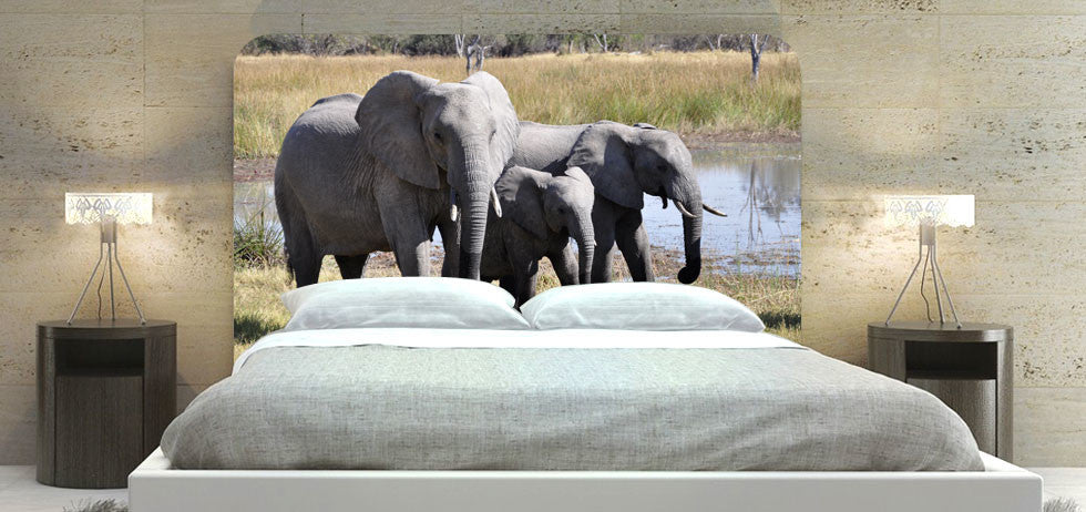 "Elephant 55" Headboard