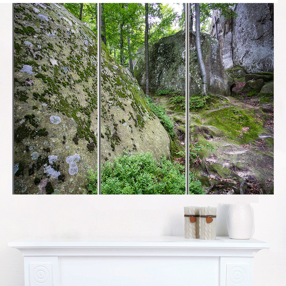"Rocky Deep Moss Forest Ukraine" Metal Wall Art, 3 Panels, 36"x28"
