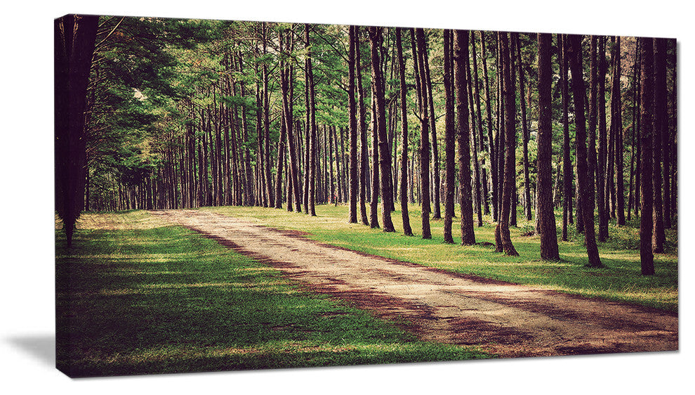 Vintage Style Forest with Pathway, Modern Forest Canvas Art, 32"x16"