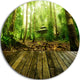 Wooden Platform In Green Forest, Landscape Round Metal Wall Art, 11"