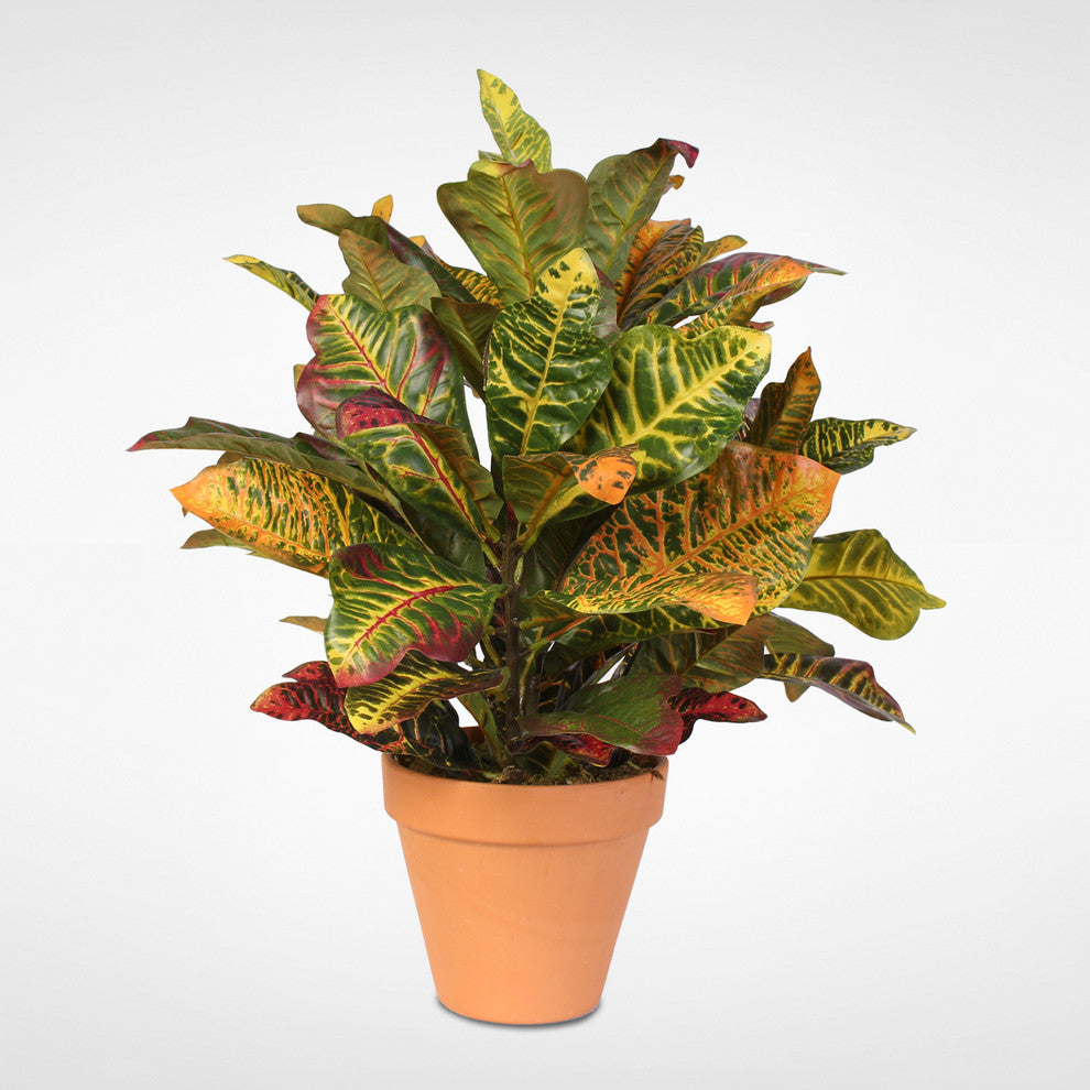 Multi Colored Real Touch Croton Plant in Clay Pot