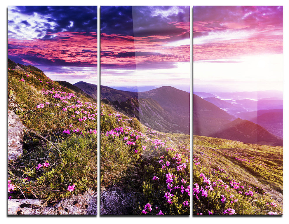 "Rhododendron Flowers in Hills" Photo Metal Wall Art, 3 Panels, 36"x28"