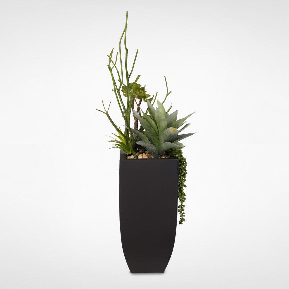 Botanical Succulent Variety With Tall Black Modern Metal Planter