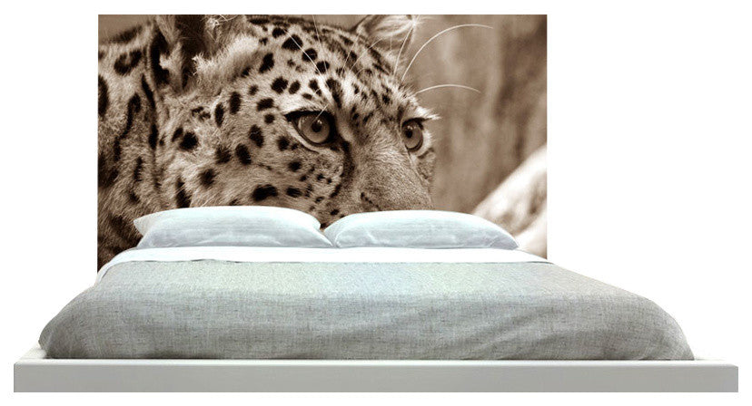 "Big Cat" Headboard