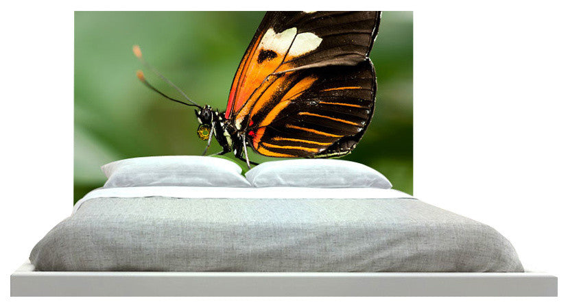 "Butterfly" Headboard
