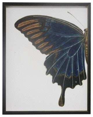 Split Blue And Brown Butterfly, Copper and Black Shadowbox, Left