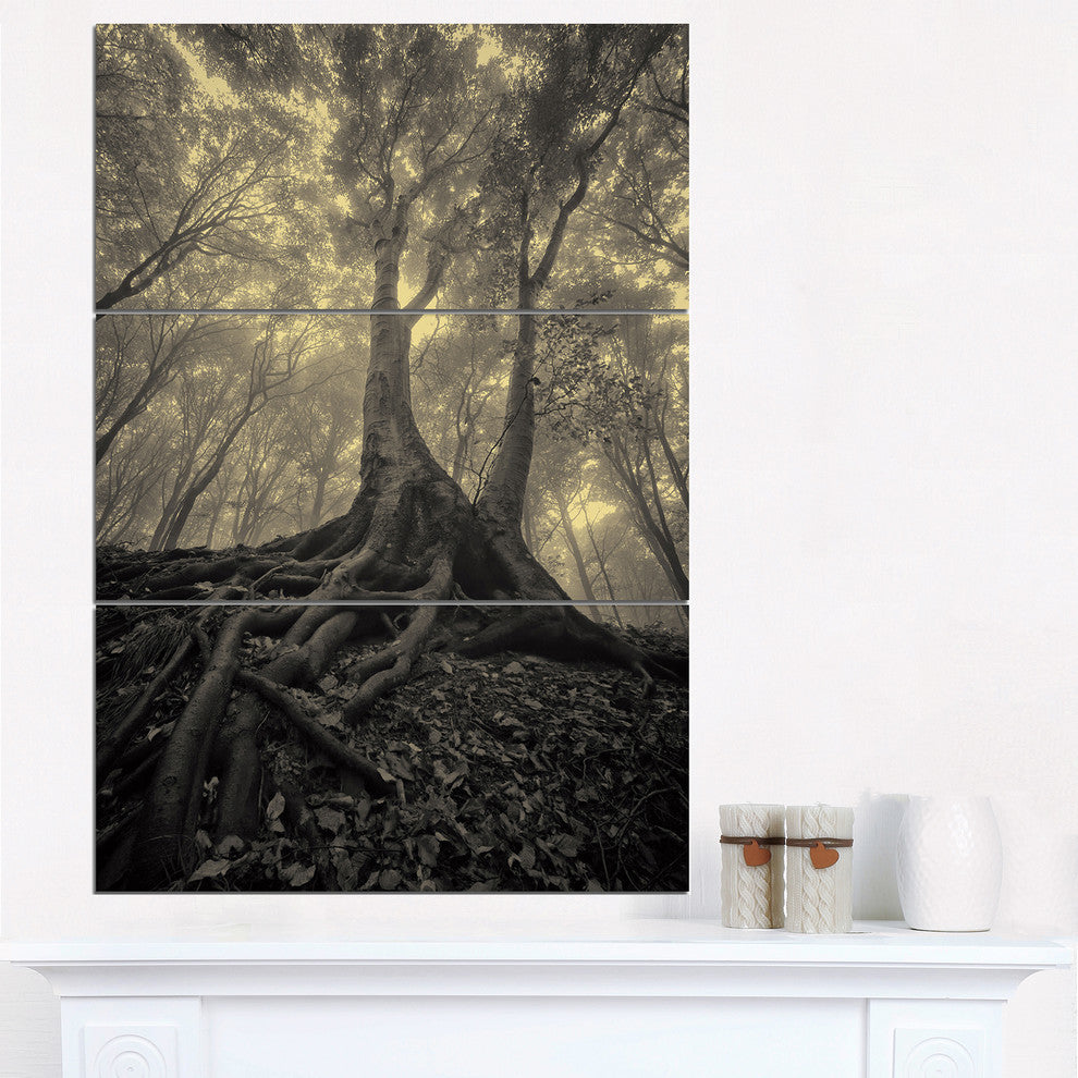 "Tree With Big Roots on Halloween" Photo Metal Wall Art, 3 Panels, 28"x36"
