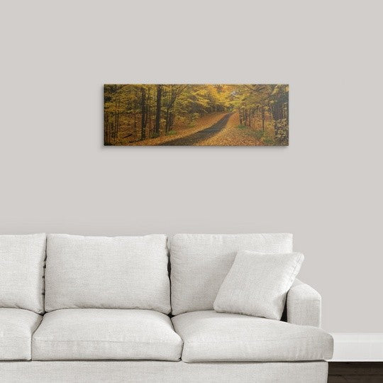 "Fall Road Emery Park NY" Canvas Art, 36"x12"x1.25"