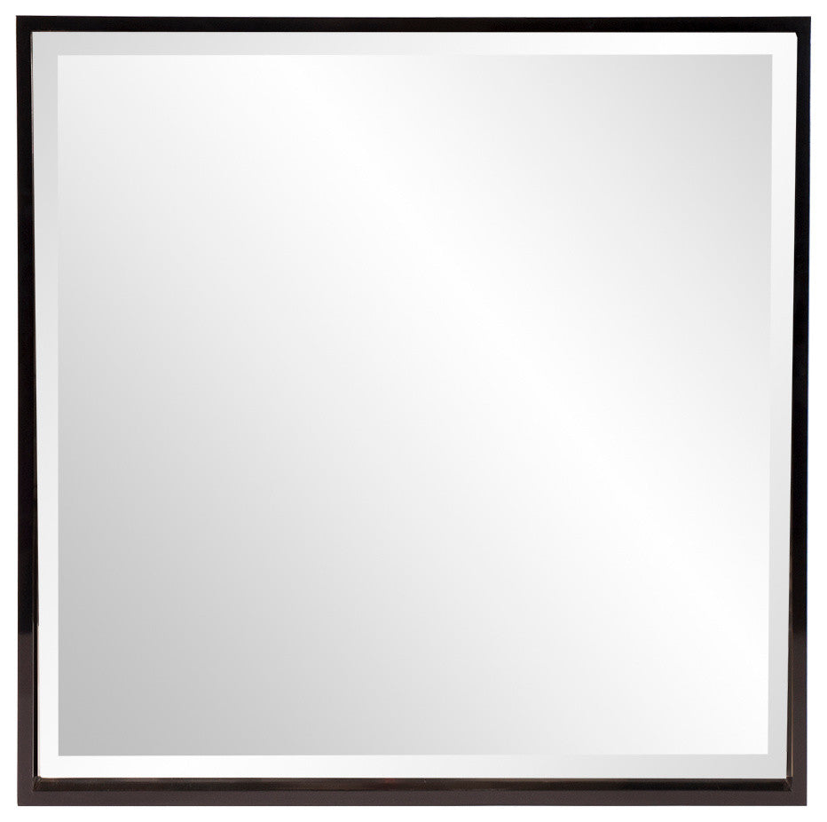 Howard Elliott Isa Black Mirror