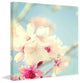 "Cherry Tree in Bloom" Painting Print on Canvas by Irena Orlov