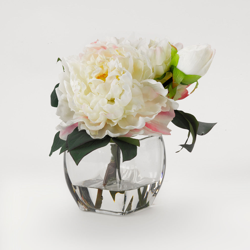 Cream peonies in glass cube