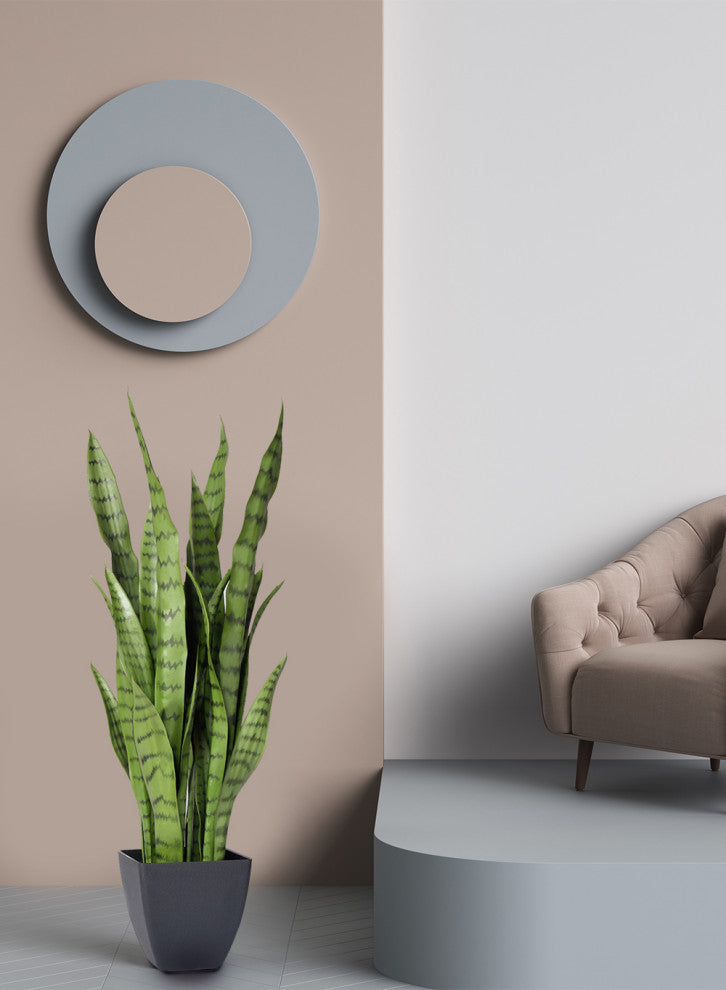 Serene Spaces Living Sansevieria Trifasciata Snake Plant, 28"