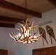 Mule Deer Royal Crown Antler Chandelier Light, Large, Rawhide Shades