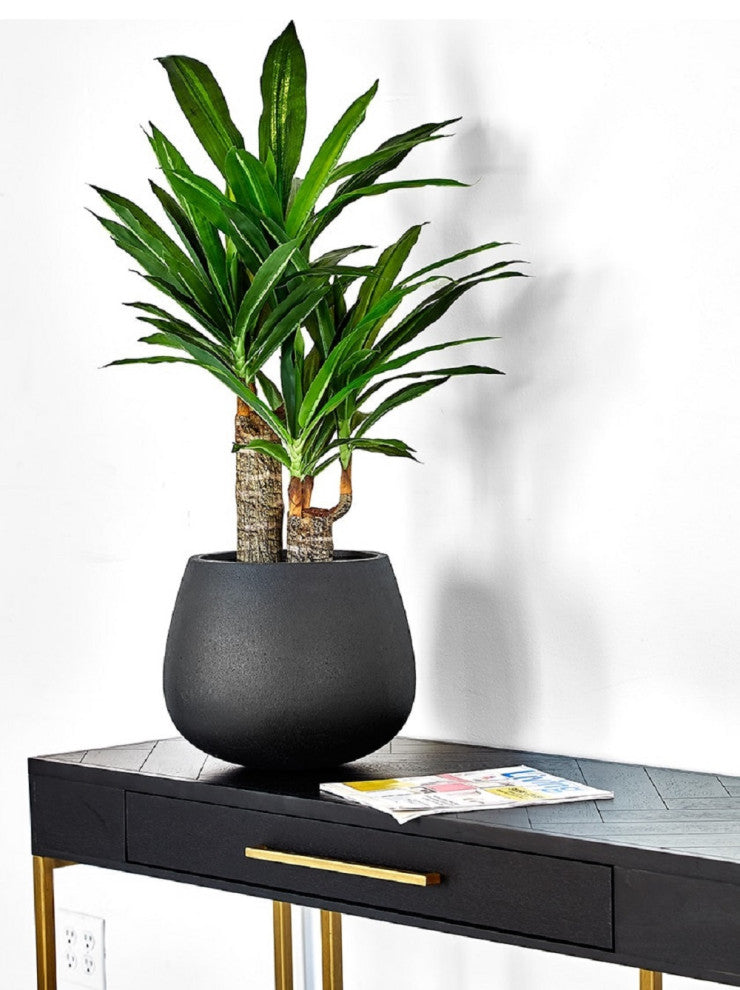 Faux Dracaena in Black Pot, 35"